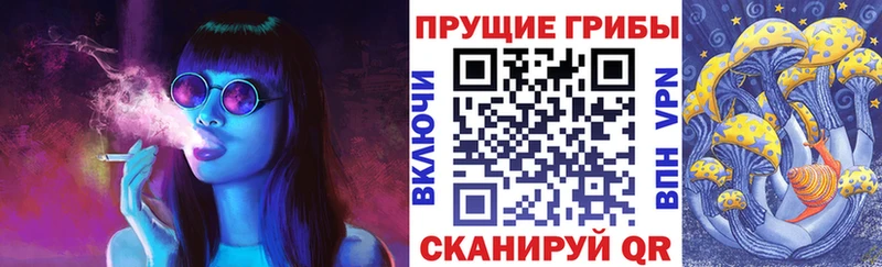 Галлюциногенные грибы Cubensis  Томмот 